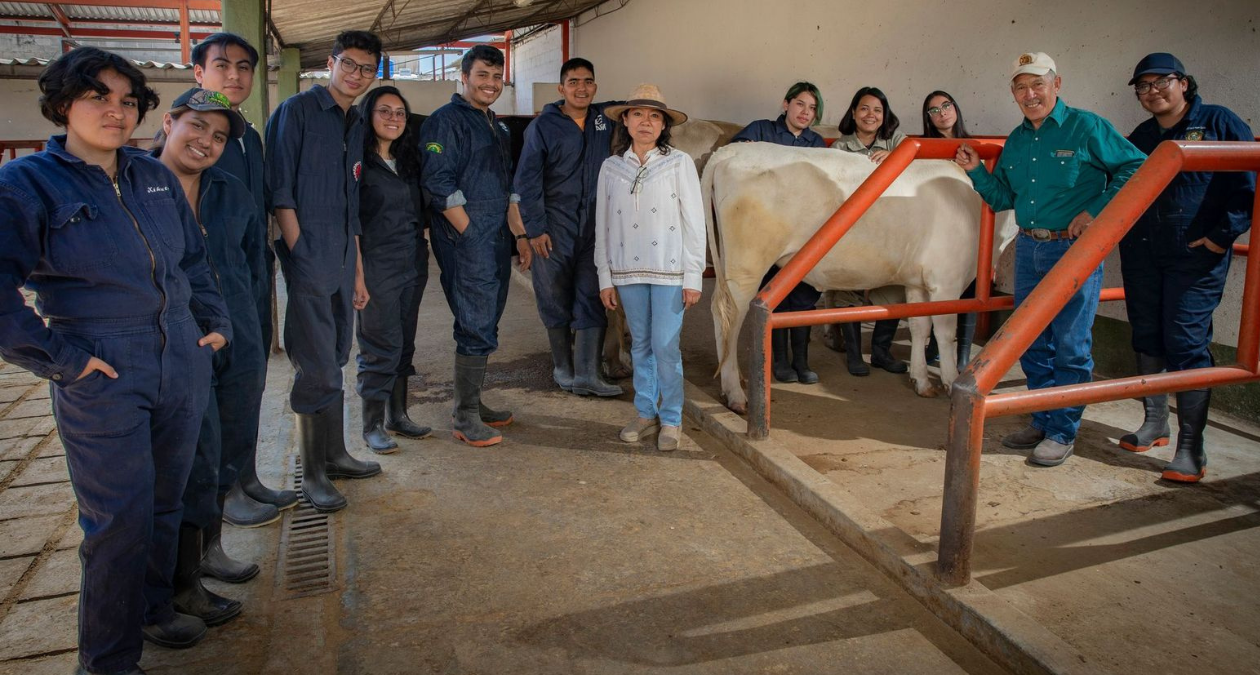 CU Amecameca: Trabajan en recuperación de suelos agrícolas de la región