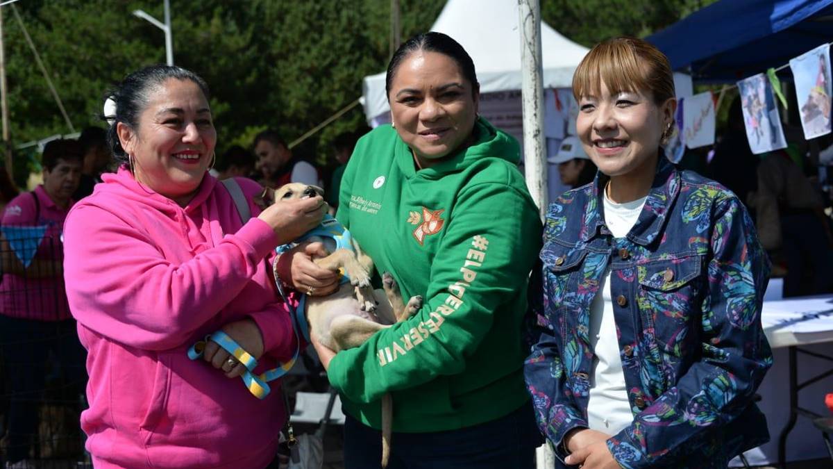 Edomex: Realizan jornada de adopción animal en Metepec