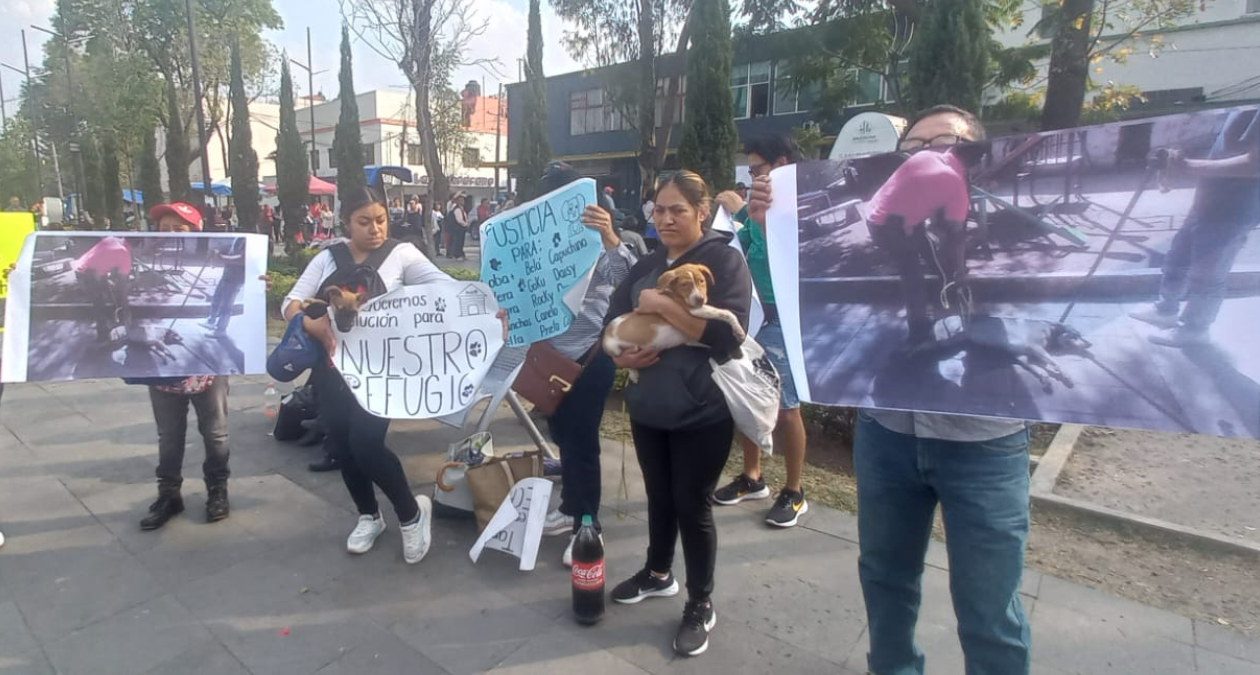 Naucalpan: Vecinos de la Mancha 1 piden predio destinado a refugio para perros