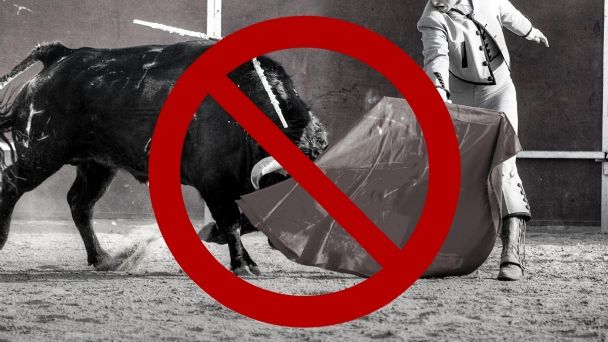 Metepec: Se suspenden las corridas de toros por respeto a la vida animal