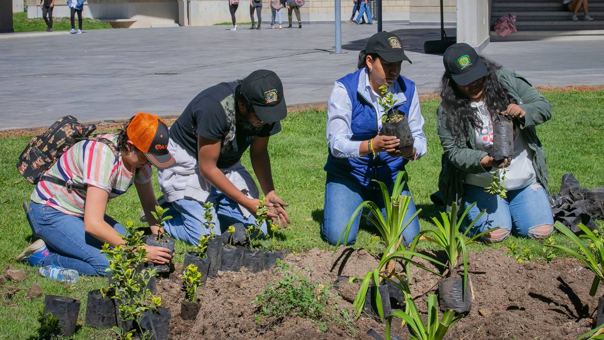 UAEMéx cumple meta de reforestación 2023