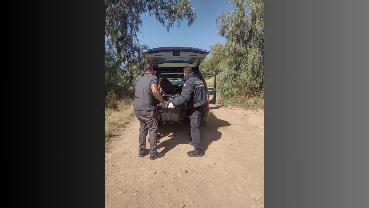 Tecámac: Asesinó a su esposa y asaltaba con una cómplice en calles