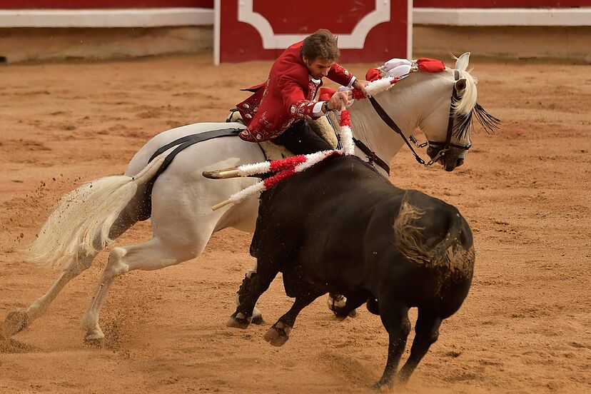 Edomex: Presentarán iniciativa para prohibir de corridas de toros