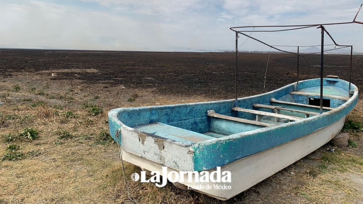 Laguna de Zumpango: Incendio arrasa con más de mil hectáreas