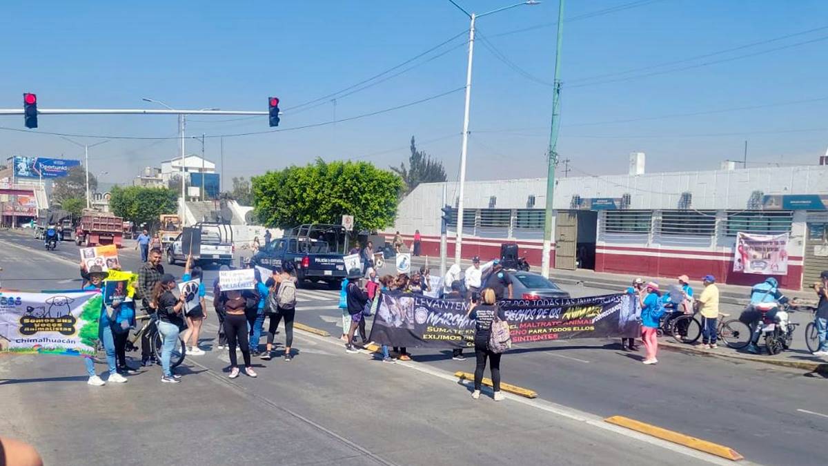 Nezahualcóyotl: exigen penas más severas para el maltrato animal