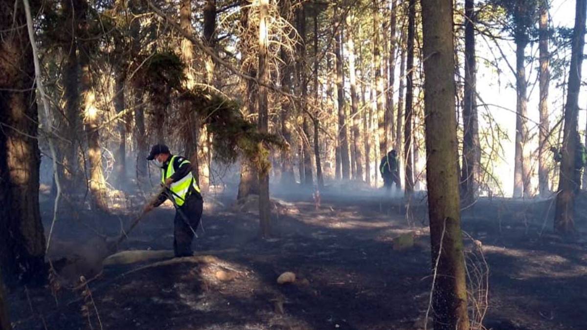 Edomex: Secretaría de Seguridad continúa apoyo para mitigar incendios