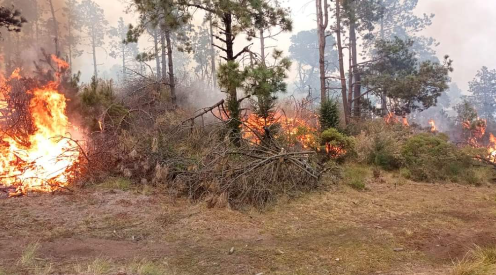 Analizan uso de helicópteros para combatir incendios en Jilotzingo y Valle de Bravo