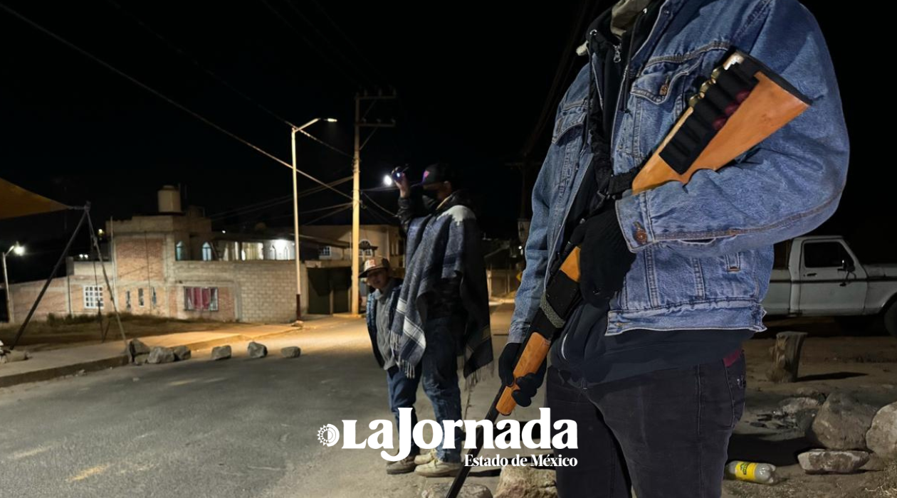 En Xonacatlán y Ocuilan, talamontes acaban con las fábricas de agua