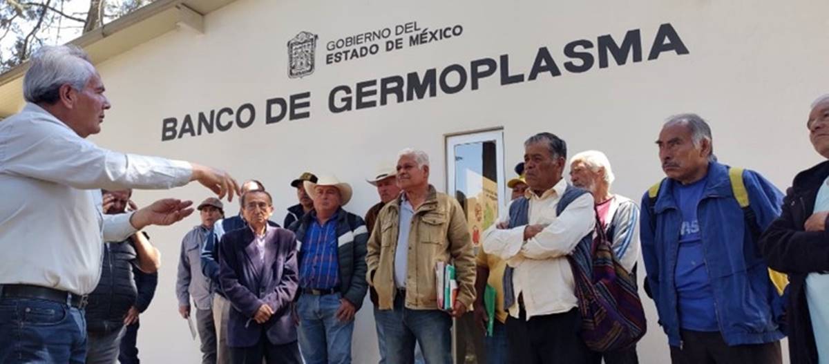 Edomex: Banco de Germoplasma ofrece semillas nativas para productores