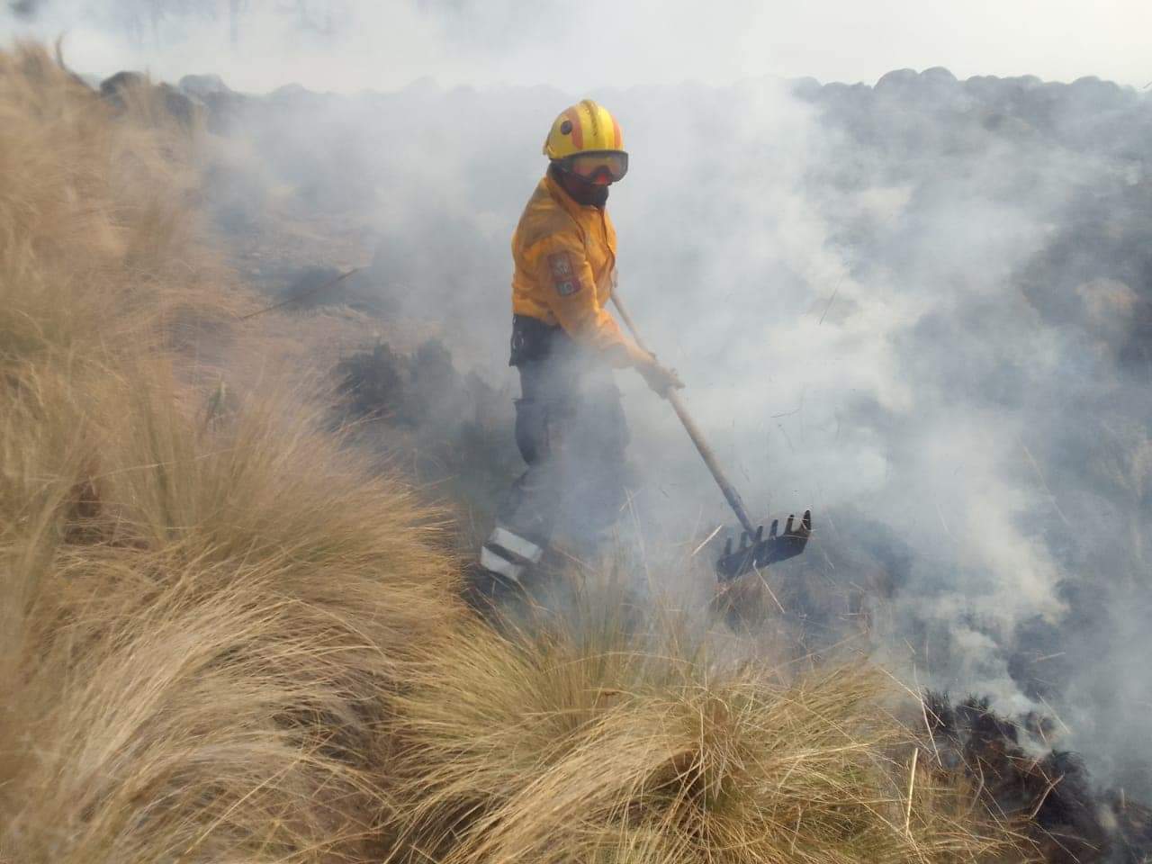 Edomex: Probosque combate 18 incendios (actualización)