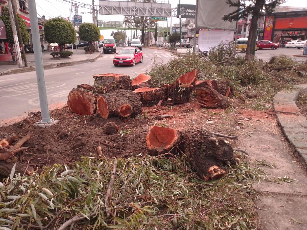 Cuautitlán Izcalli: Denuncian Ecocidio en la Glorieta Bosques del Lago