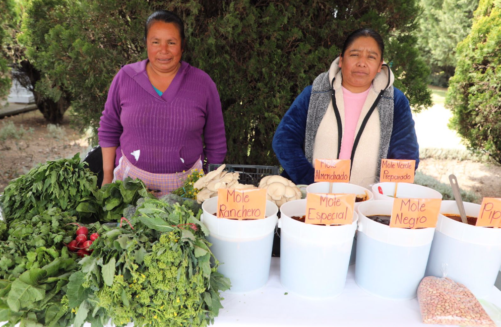 En Edomex, 76% de mujeres rurales realizan labores de producción mal remunerada