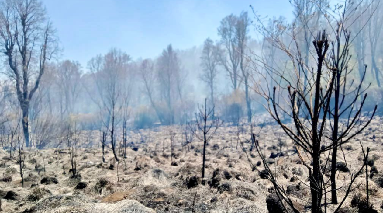 Edomex: Aumenta 25% de incendios forestales, respecto a 2023