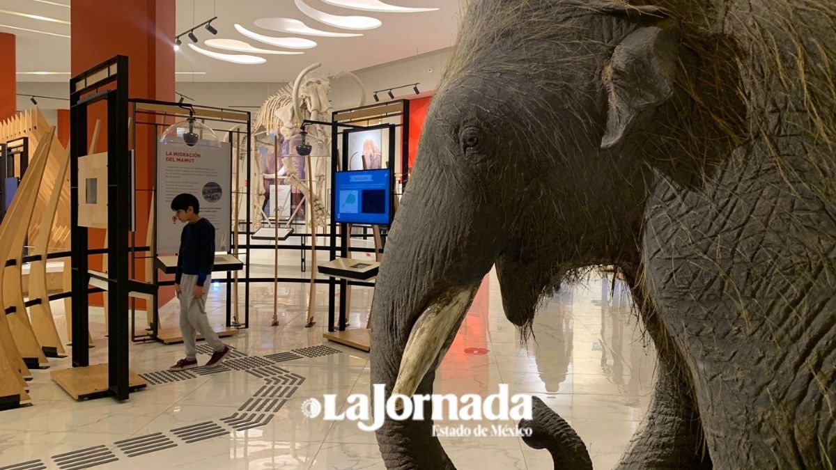 Abren museos del AIFA en Semana Santa