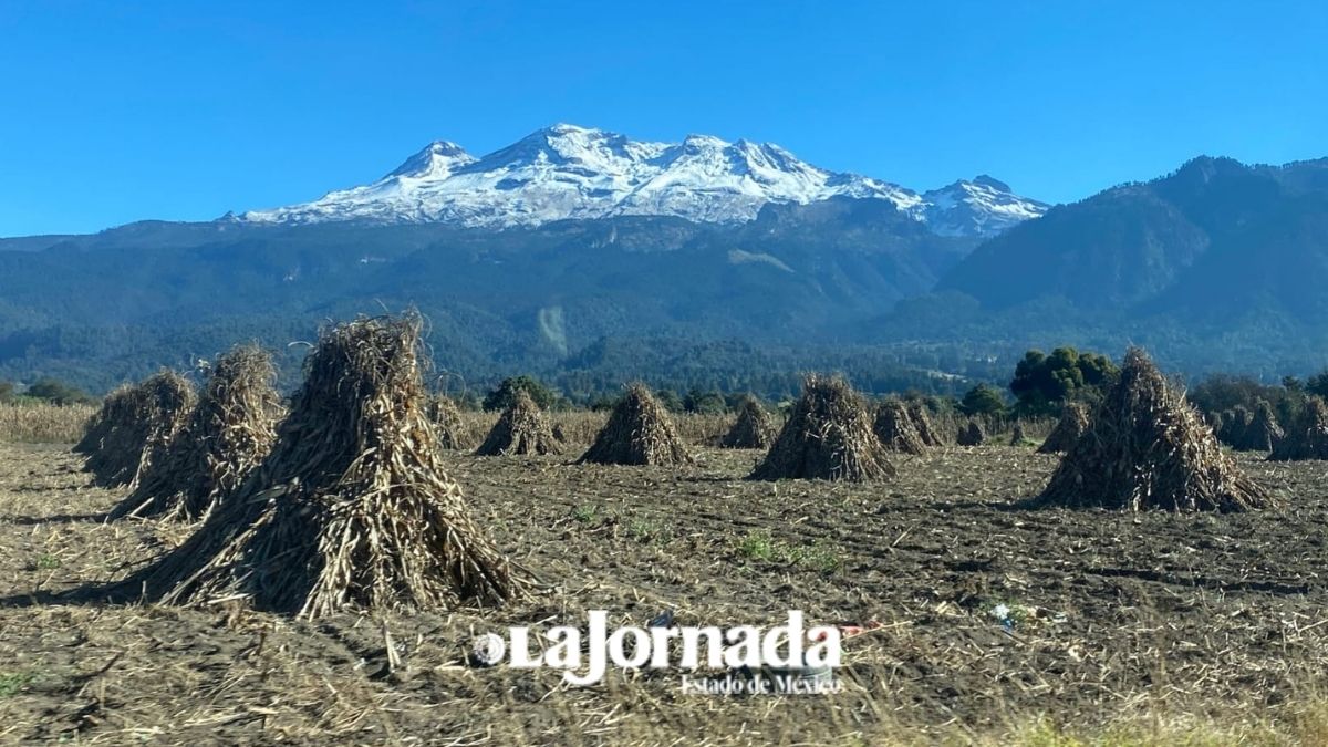 Tlalmanalco: Feria de la milpa y el maíz busca preservar grano ancestral