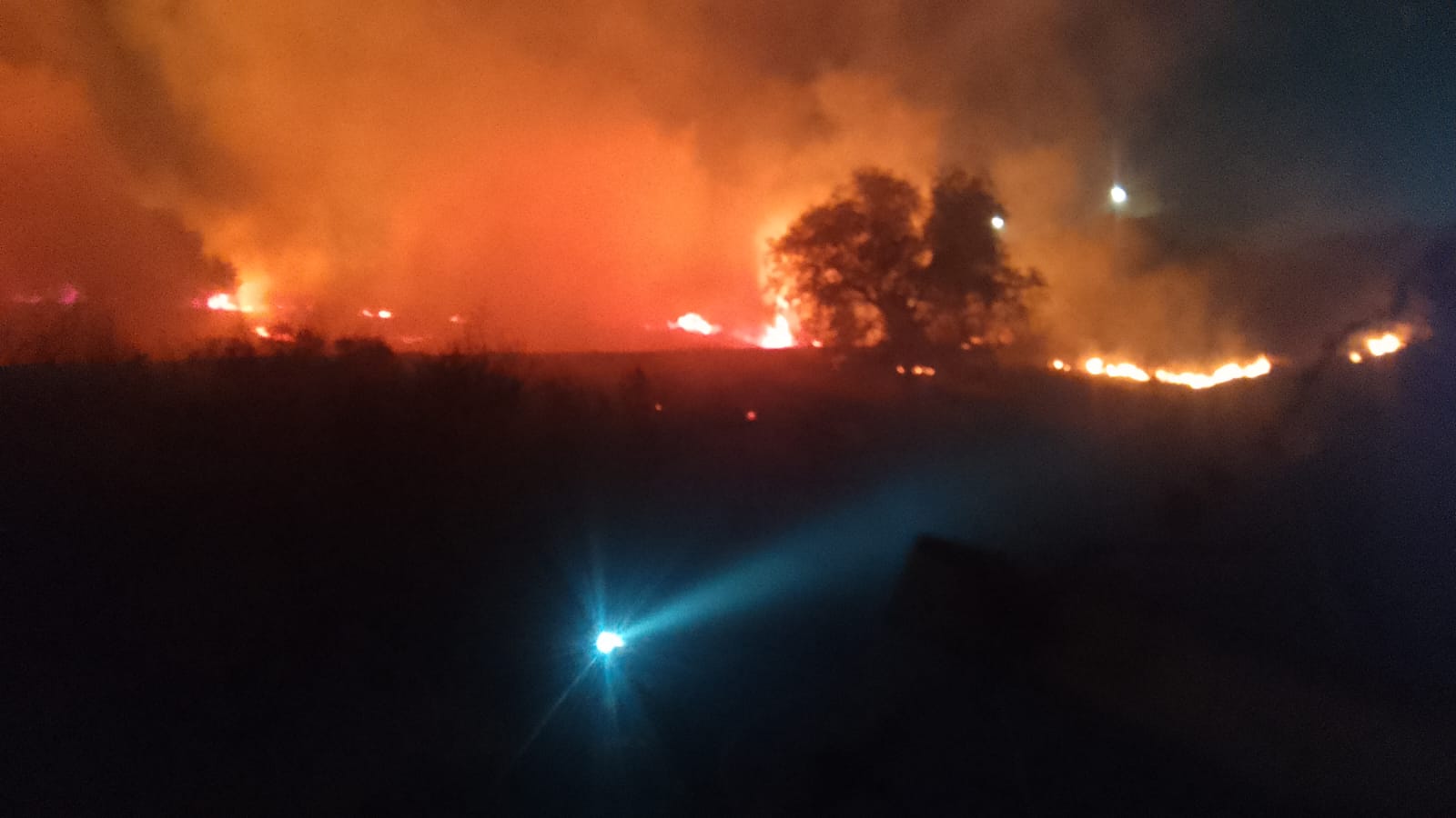 PROBOSQUE reitera que no pide apoyos para atender incendios forestales; hay estafas