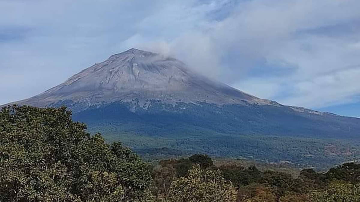 Edomex: incendios, plagas y tala clandestina arrasan los bosques