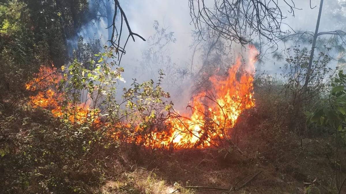 Amecameca: se reportan hasta cinco incendios de pastizales al día