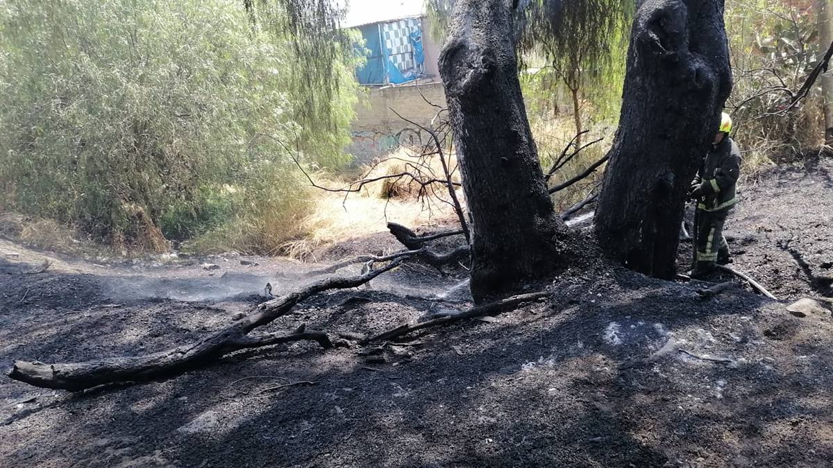 Jilotzingo en estado de emergencia al quemarse 750 de bosque de agua: Alcaldesa