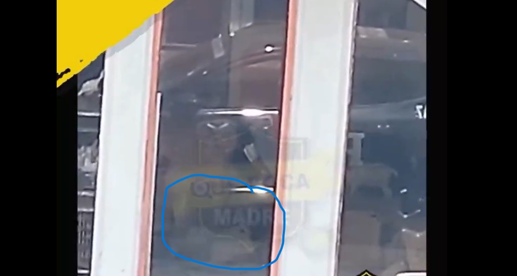 Video: Tienda clandestina en Neza maltrata y vende animales para sacrificio