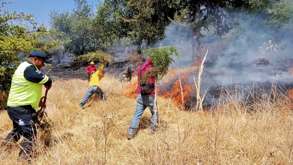 Toluca: Sofocan incendio en el Parque Sierra Morelos