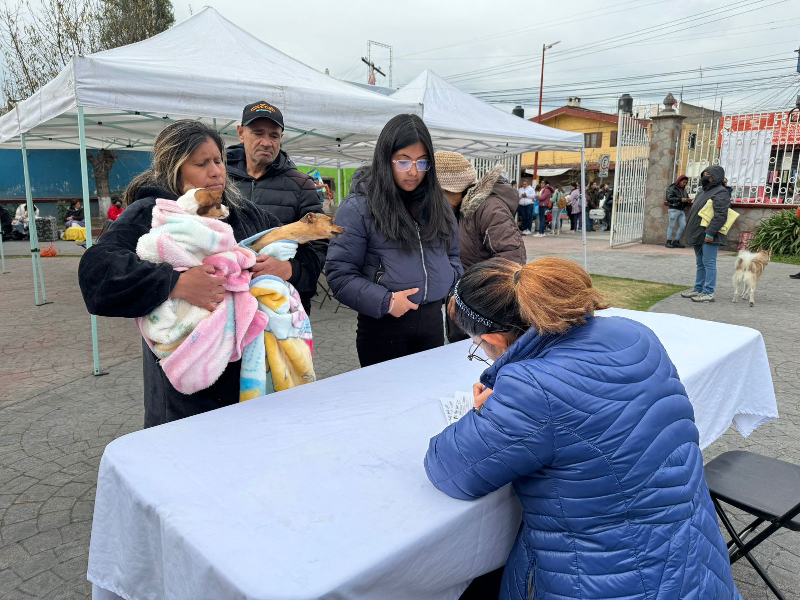 Realizará San Mateo Atenco jornadas de adopción de animales de compañía