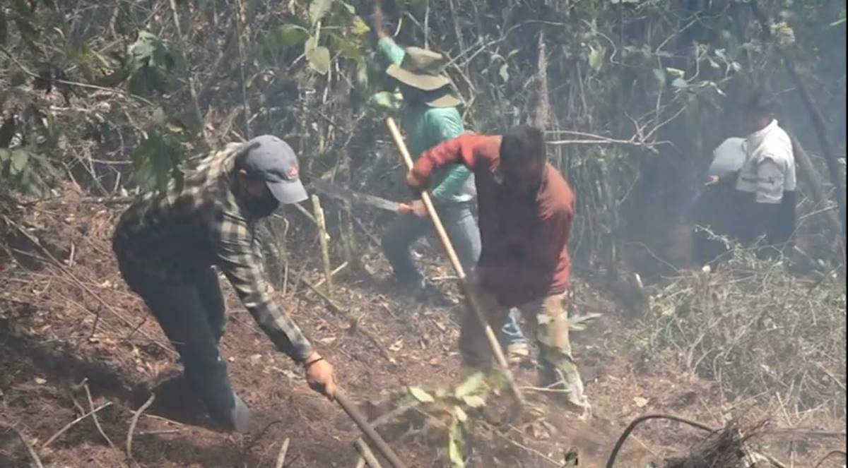 Voluntarios comunitarios suman fuerza a brigadas de Probosque en incendios