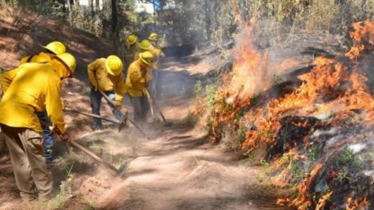 Edomex: En 5 meses incendios forestales superan cifra reportada en 2023