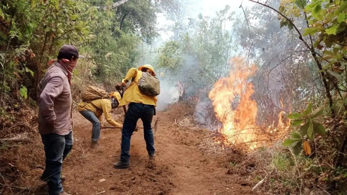 Edomex: Más de 50 brigadistas de Probosque, participan en las labores para sofocar Incendio Forestal