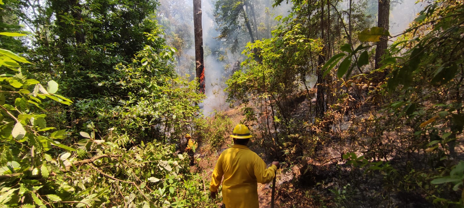 Valle de Bravo: Gobierno del Edomex controla incendios con Mando Único y helicópteros de Grupo Relámpago