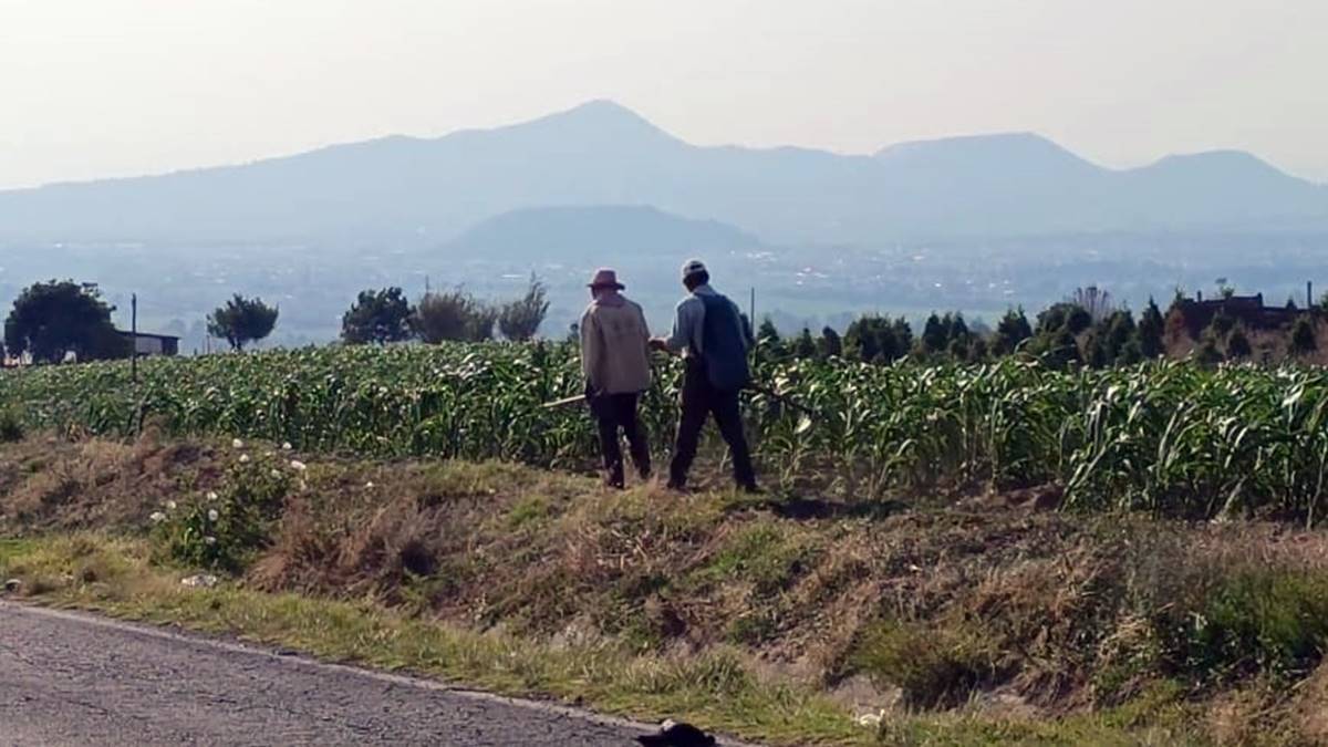 Amecameca: Productores e investigadores buscan hacer sustentable la producción animal