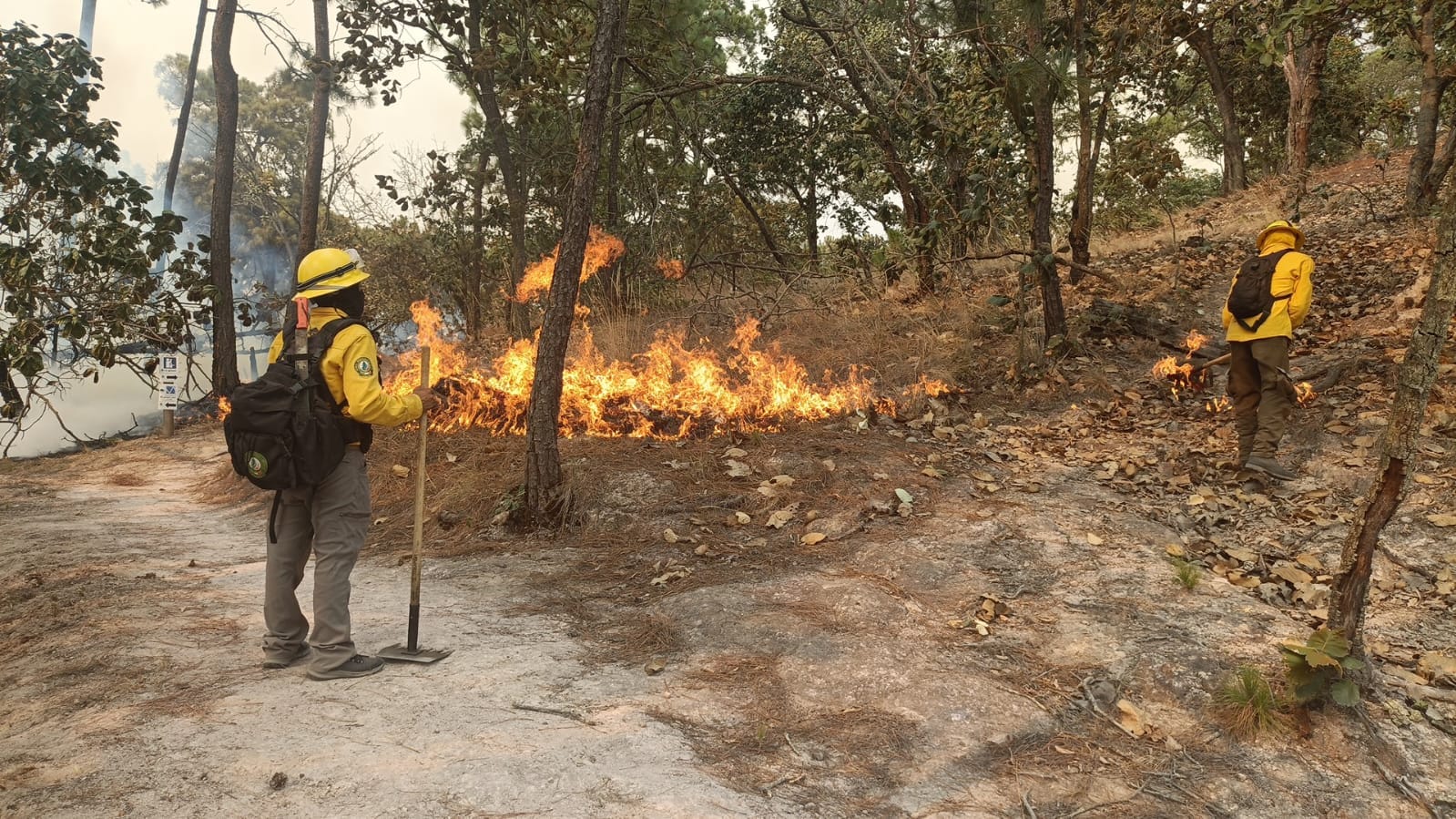 Reconoce Michel Núñez labor de brigadistas frente a los incendios forestales en Valle de Bravo