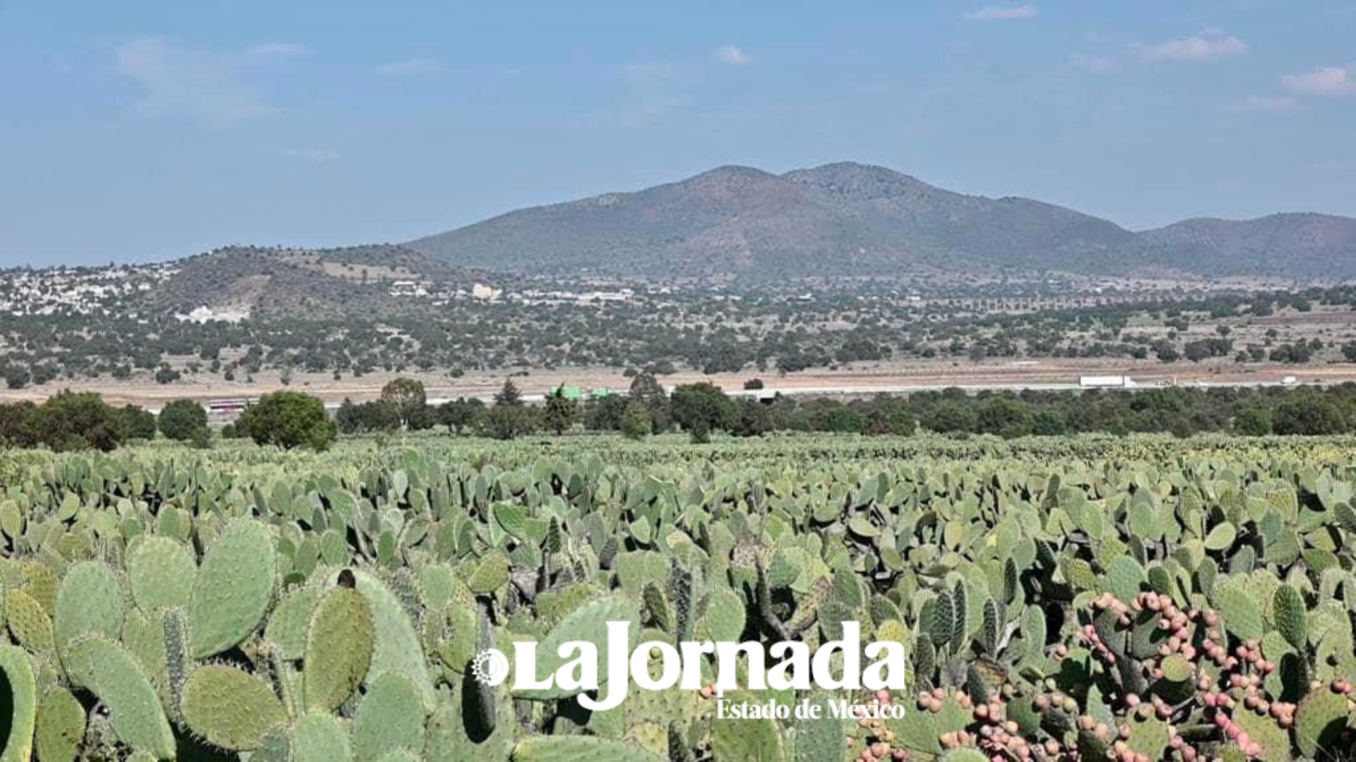 Alertan sobre venta indiscriminada de agua de pozos agrícolas en el noreste mexiquense