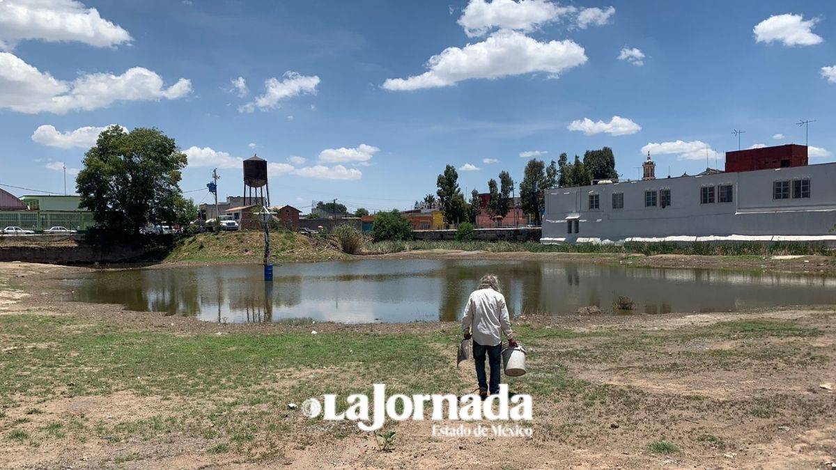 Agoniza el Amanal de Otumba se encuentra casi seco