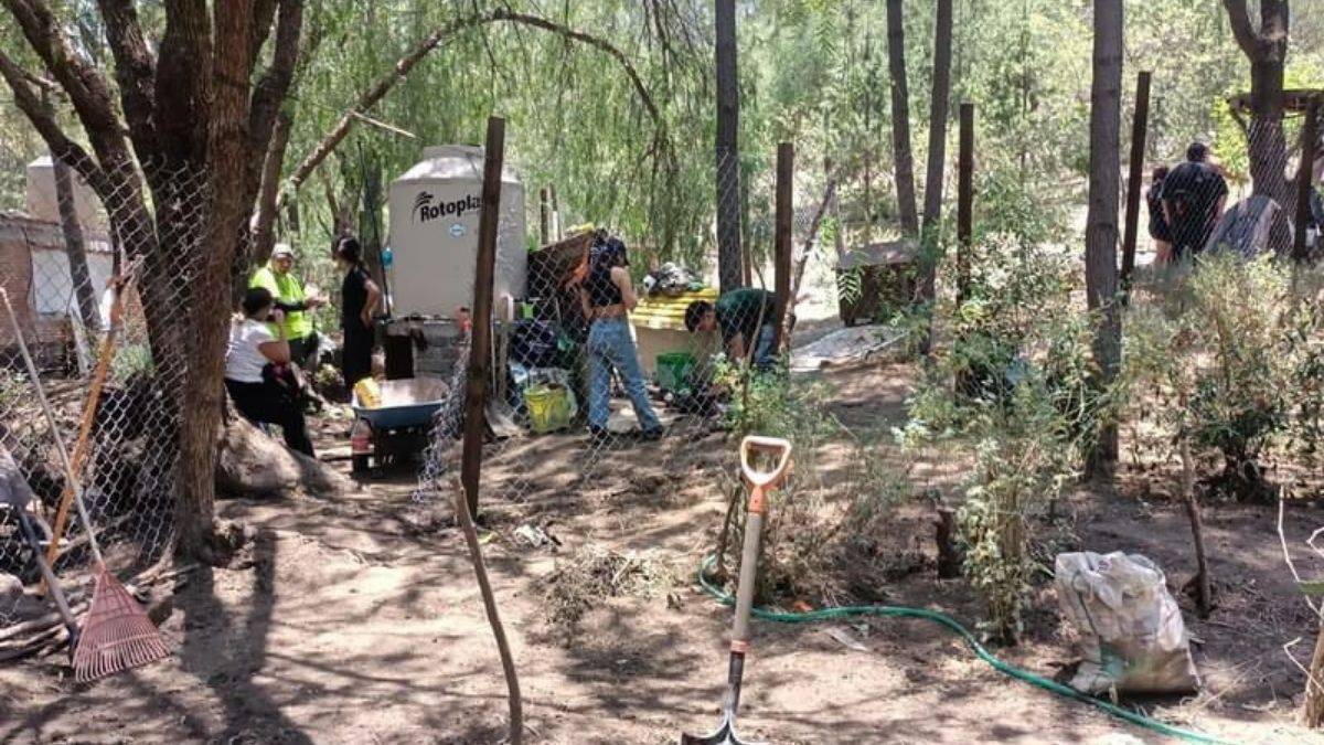 Ambientalistas reconstruyen jardines polinizadores en barranca del Ehécatl