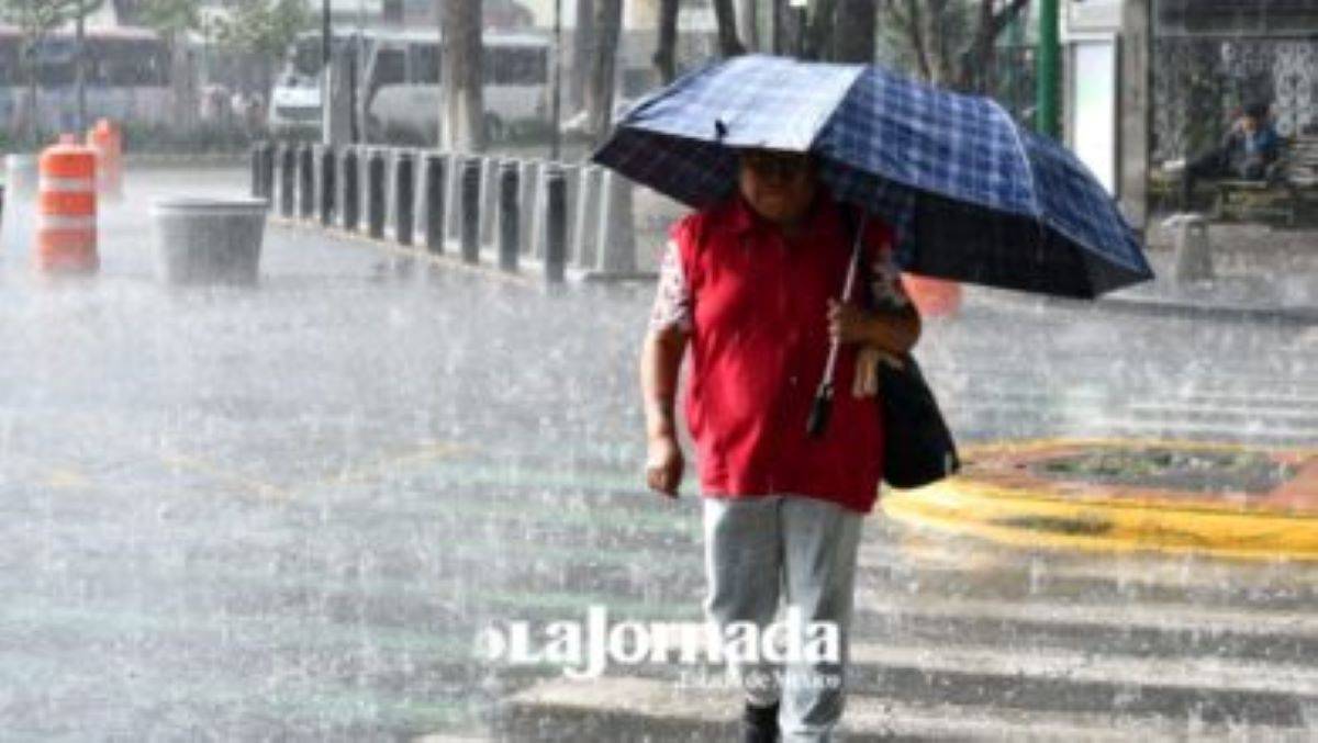 El Servicio Meteorológico Nacional (SMN) pronosticó para el día de hoy, 17 de junio, cielo medio nublado y presencia de bruma con probabilidad de lluvias e intervalos de chubascos (5 a 25 mm en 24 horas). Foto: La Jornada.