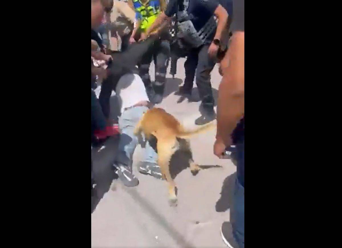 VIDEO: Sorprenden a ladrón en Puebla y hasta el perro lo tunde