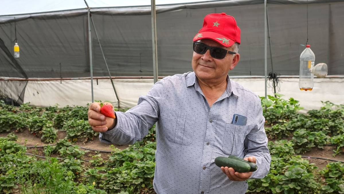 Toluca: Investigador desarrolla agroecología, logra producción saludable y recuperación de fauna