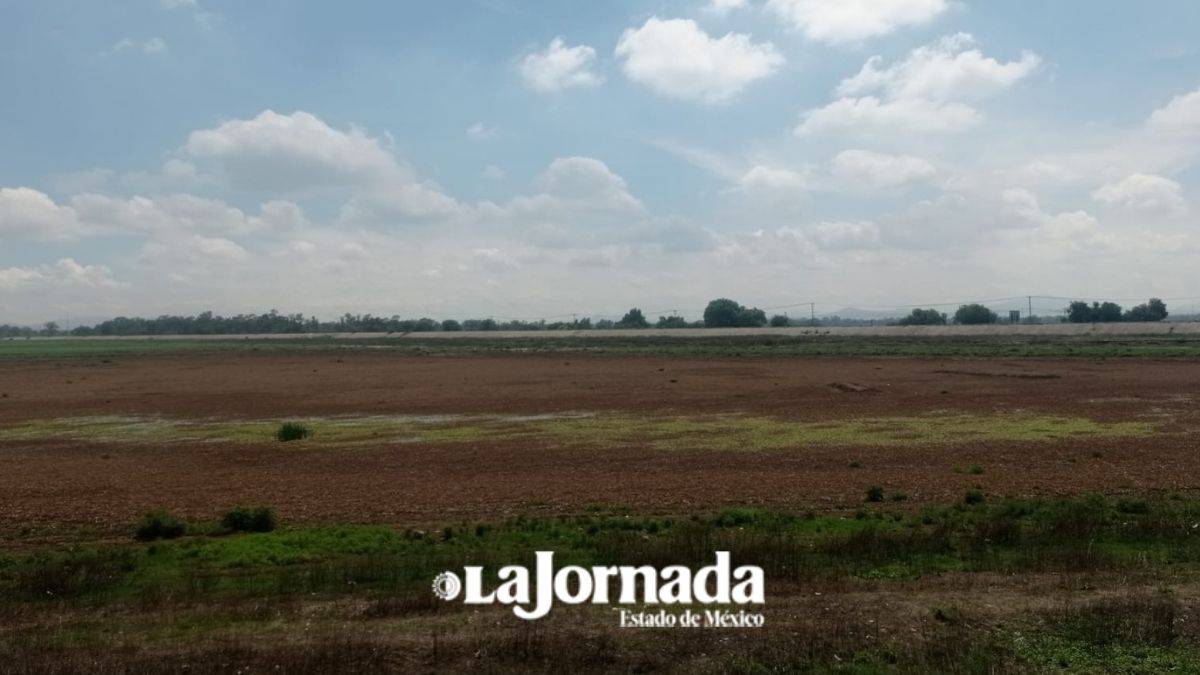 Zumpango: Laguna  llena al 60%, se recupera