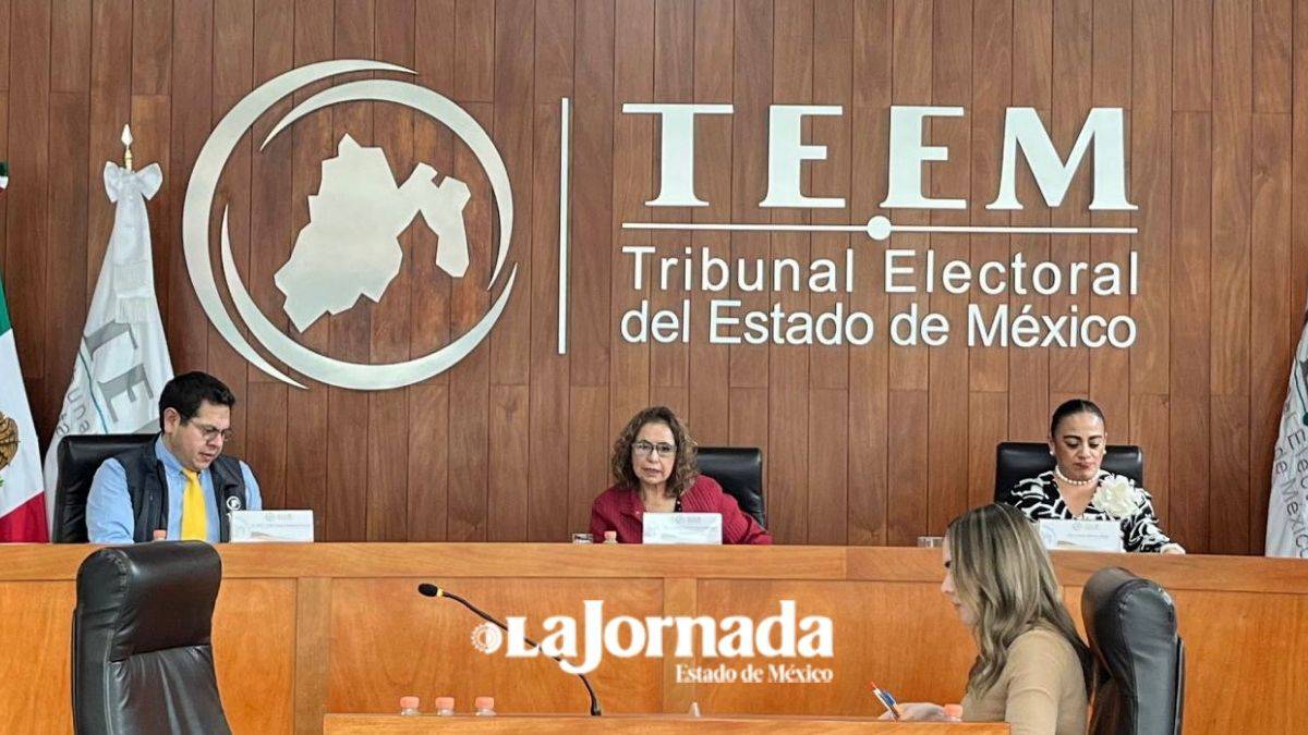 IEEM debe iniciar proceso de liquidación a Nueva Alianza: Tribunal Electoral