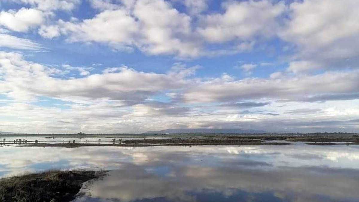 Lluvias dan esperanza para adelantar recuperación de la Laguna de Zumpango