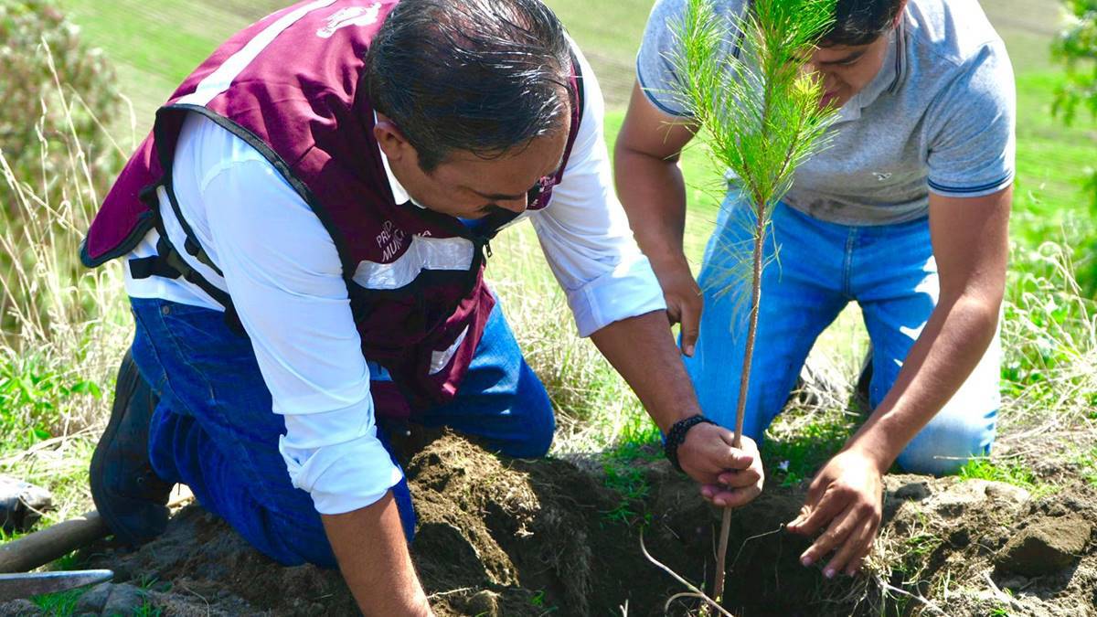 Inicia restauración ecológica en Cerro de Xico