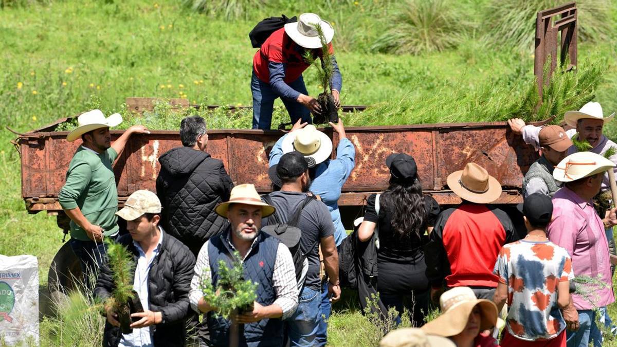 Oscar Sánchez encabeza jornada de reforestación en Almoloya de Juárez