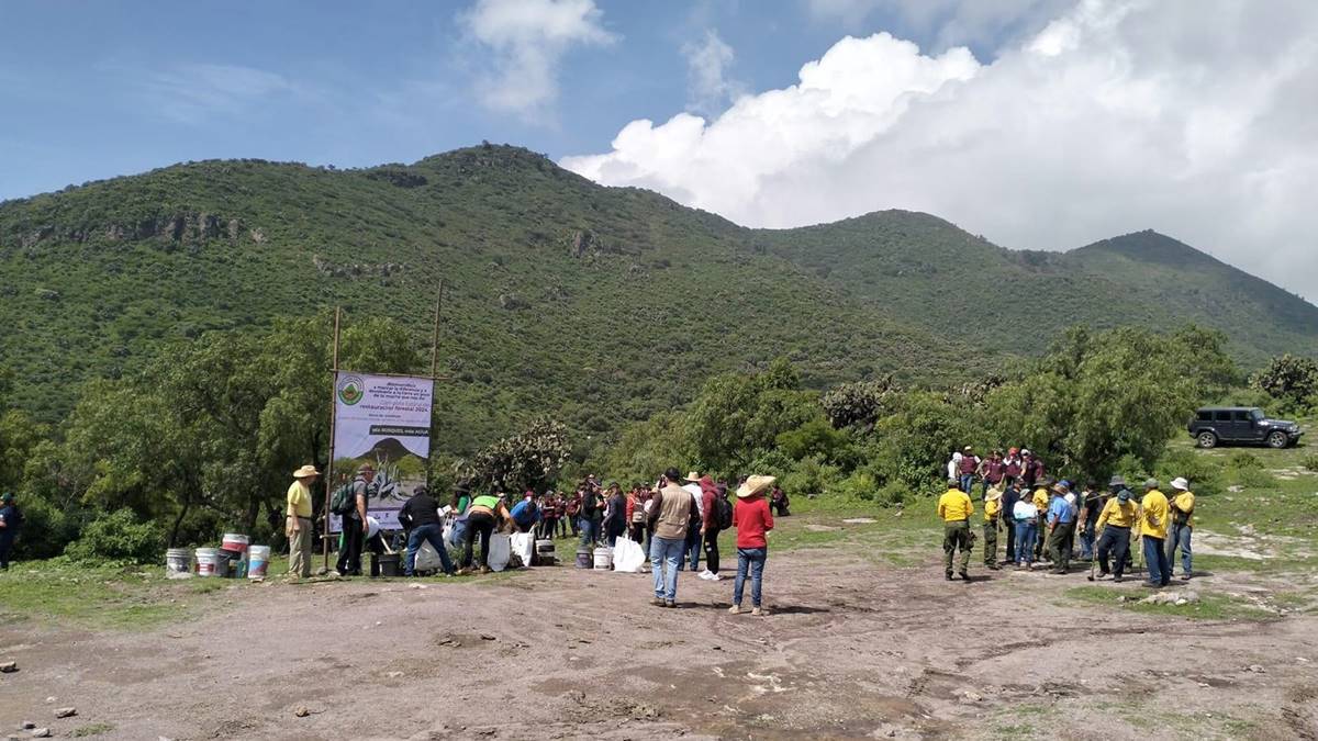 Animales de compañía y ganado representan un riesgo ambiental para la Sierra de Guadalupe