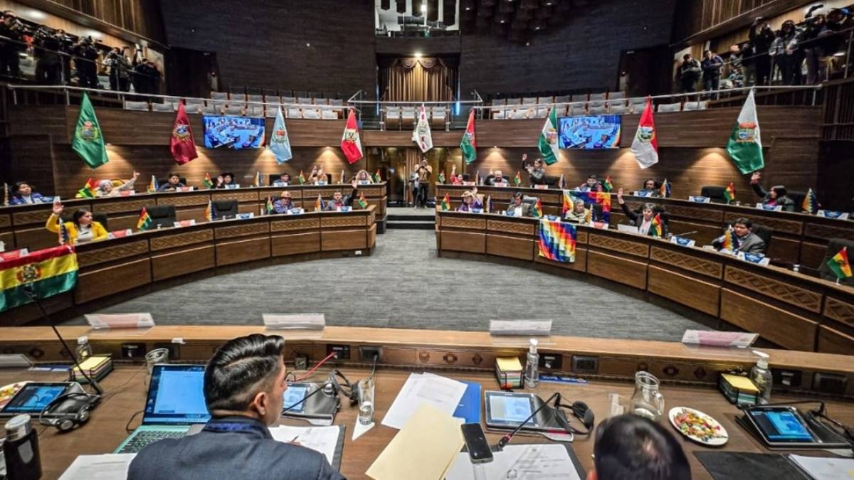 Bolivia: Senado aprueba suspensión de elecciones primarias