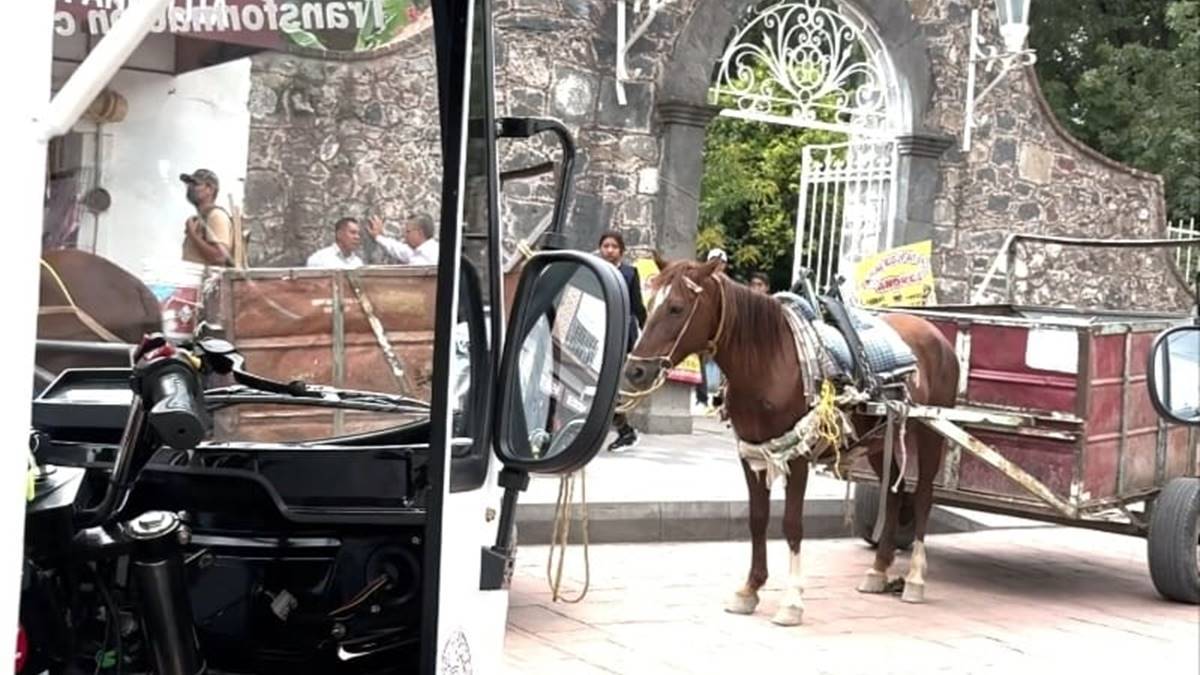 Chimalhuacán: buscan erradicar uso de equinos en la recolección de basura