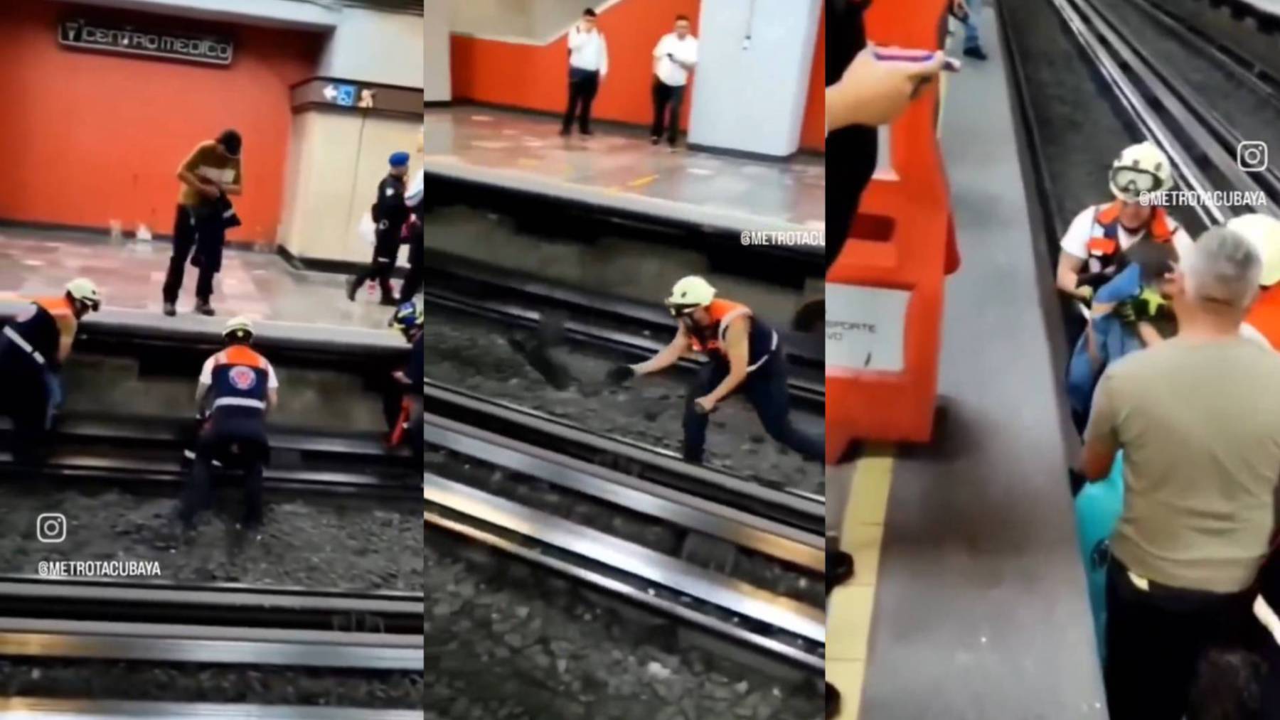 (VIDEO) ¡Increíble! Un gallo detiene el Servicio del Metro