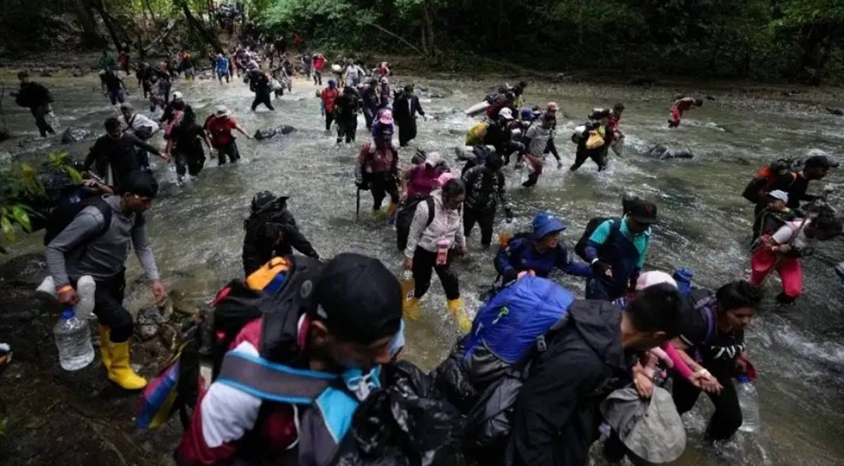 Más de 230 mil migrantes transitaron por Panamá en lo que va de 2024