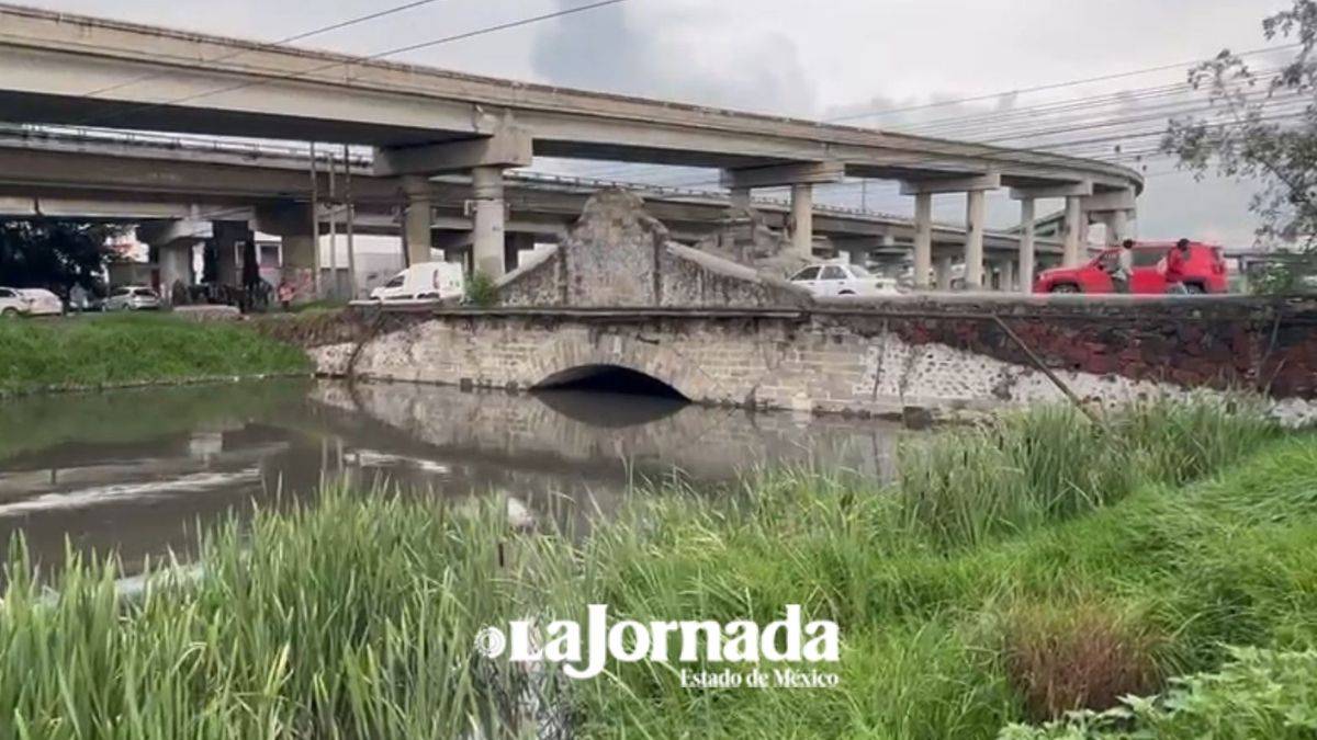 Urgen estudios sobre impacto de contaminantes y repercusiones salud: investigador del Conacyt