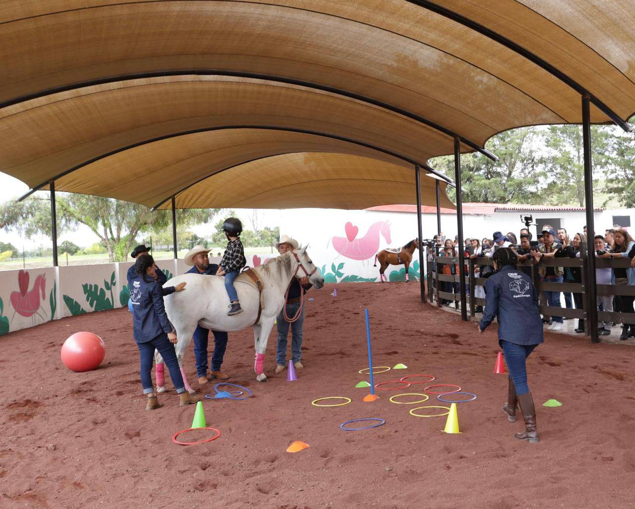 Tecámac: Destinan nueve caballos para dar equinoterapia